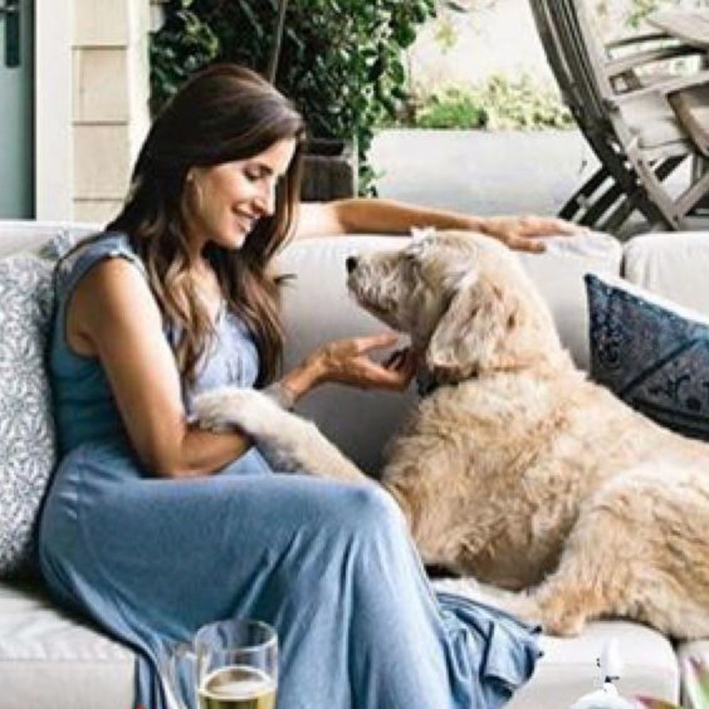 Meet your Posher, Marie